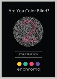 What Is Color Blindness Get Color Blind Glasses Brill