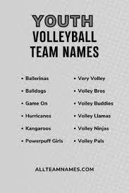 111 volleyball team names that are a hit