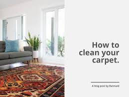 how to clean your carpet efficiently