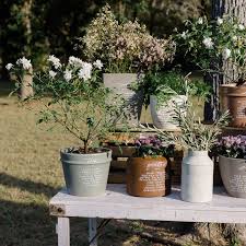 Potted Plants In Your Wedding