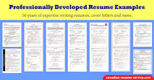professional resume exles entry to