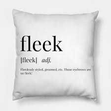fleek definition fleek pillow