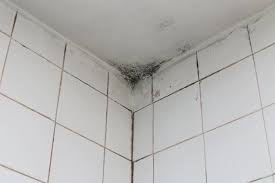 How To Get Rid Of Mold On Walls Easy