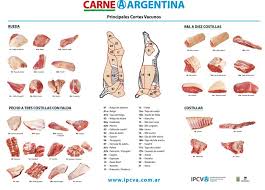 Argentina A Guide To Cuts Of Meat