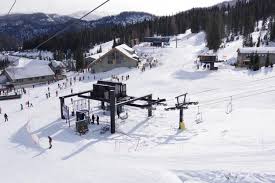 wolf creek ski area colorado com