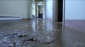 sewage backup cleanup in chicago and