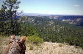 There are many horse camps throughout the region. Come Camping And Don T Forget Your Horse Black Hills Travel Blog
