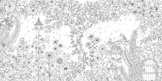 flower coloring book by johanna basford