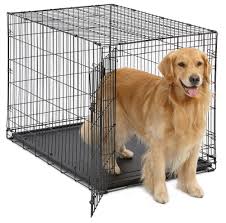 Midwest Single Door Icrate Metal Dog Crate