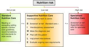 nutrition care in geriatrics