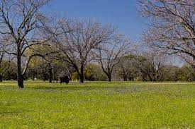 texas hill country lbj ranch