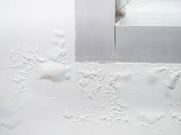 Bubbling Paint 5 Potential Causes And