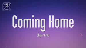 skylar grey i m coming home s