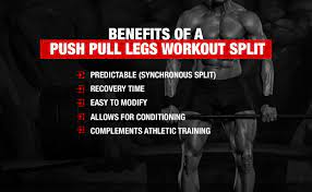 push pull legs routine ppl split for