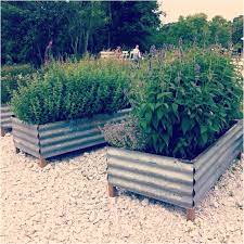 32 garden beds corrugated iron ideas