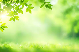 simple nature background stock photos