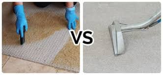 carpet steam cleaning cleaning