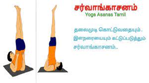 shoulderstand pose yoga asanas tamil