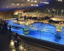 Sumida Aquarium的圖片