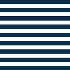geo navy stripe for the floor more