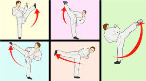 teach yourself the basics of karate