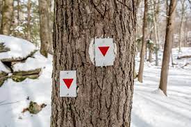 How To Read Trail Markers For Hiking