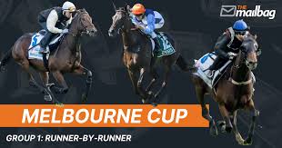 2022 melbourne cup runner by runner