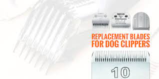 ing dog clipper blades all the