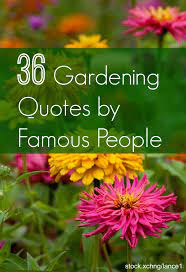Half the interest of a garden is the constant exercise of the imagination. Garden Quotes Best Gardening Quotes By Famous People Install It Direct