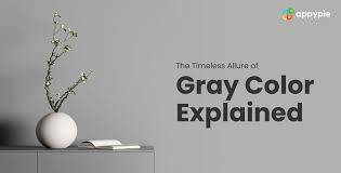 Gray Color 808080 How To Utilize