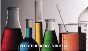 agarose gel electropsis buffer