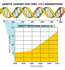 Evolution And Obesity