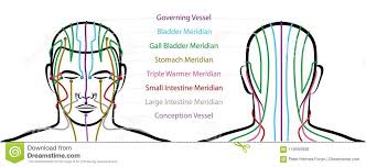 Meridians Male Head Acupuncture Points Stock Vector