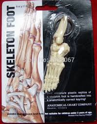 Us 6 99 Mini Female Anatomy Human Foot Model Skeleton Throat Anatomical Anatomy Skull Sculpture Head Body Model Muscle Bone Artist In Medical