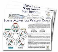 Equine 5 Element Chart Set Of 4 92502 Horse Ebay