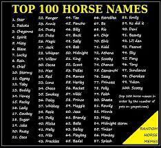 Check spelling or type a new query. Pin By Tinka Wilson On Horse Camp Ideas Horse Names Horse Names Unique Horse Show Names