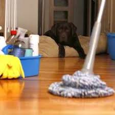 carpet cleaning services in mumbai