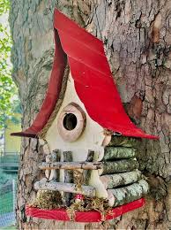 Bird House Functional And Decorative