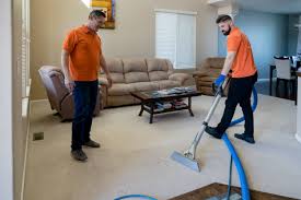 carpet cleaning fort collins colorado