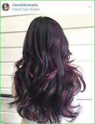 For cold tones (pink, with blue, green and gray shimmer) ash blond and. Black Hair Purple Highlights Unique Best 25 Plum Black Hair Ideas On Pinterest Of Black Hair Purple Highlights Admirable 25 Baylage Hair Hair Styles Plum Hair