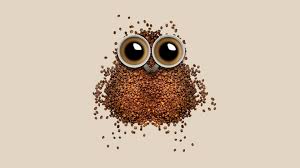 coffee beans wallpaper 4k owl coffee