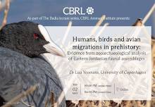 Humans, birds and avian migrations in prehistory...