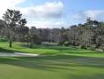 Monterey pines golf club