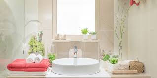 3 Benefits Of Bathroom And Shower Plants