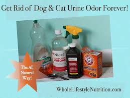 white vinegar to remove cat urine smell