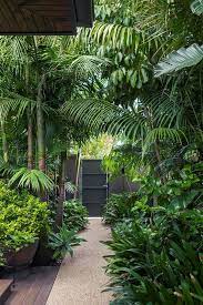 tropical landscaping tropical garden
