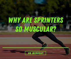 why are sprinters so muscular what