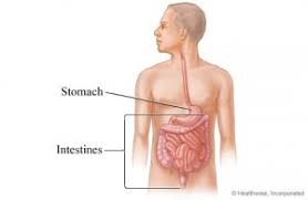 ulcers wake gastroenterology