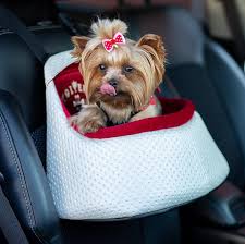 Puppy Premium Dog Car Booster Seat