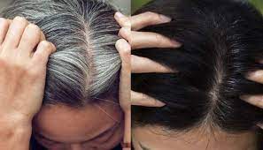 white hair solution with jaggery and fenugreek seeds know how to make white  hair black samp | White Hair Problem: गुड़ के साथ मिलाकर खाएं ये चीज, चंद  दिनों में काले हो